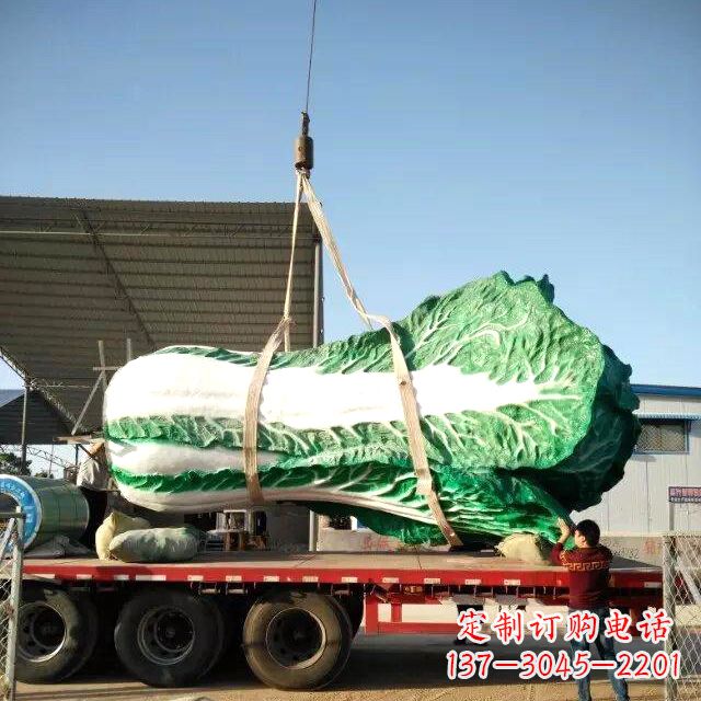 湖北白菜之美——给你一份独特的食材