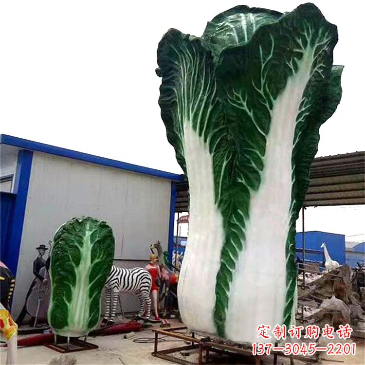 湖北白菜艺术——融合植物与艺术的完美结合