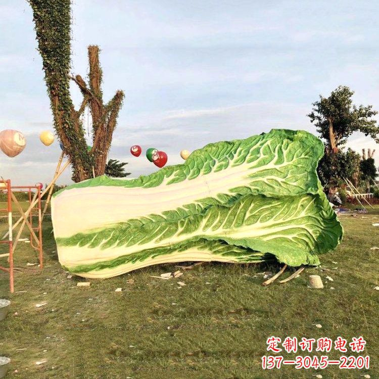 湖北新鲜白菜“精致生活”系列