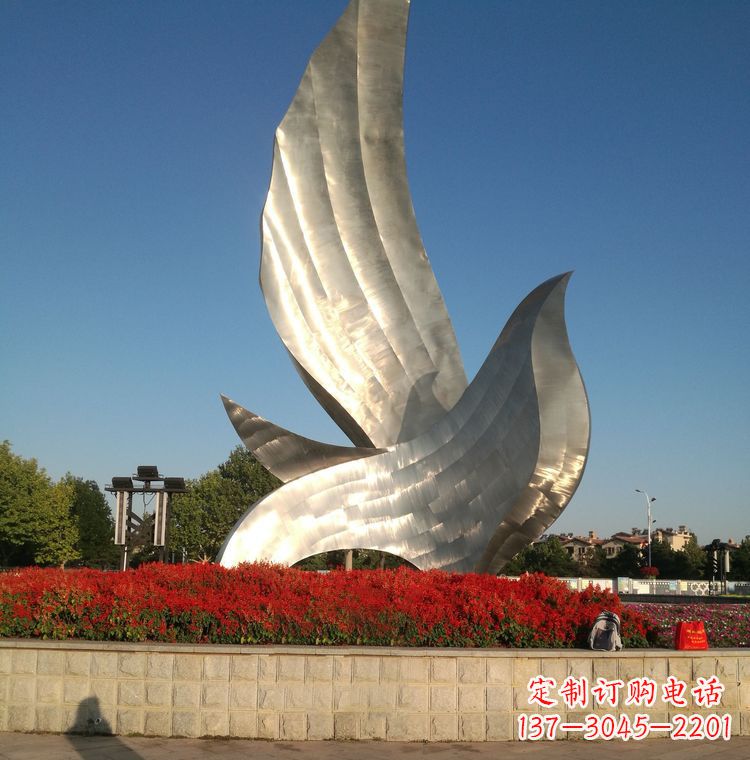 湖北“鸽子之恋”——让爱飞翔