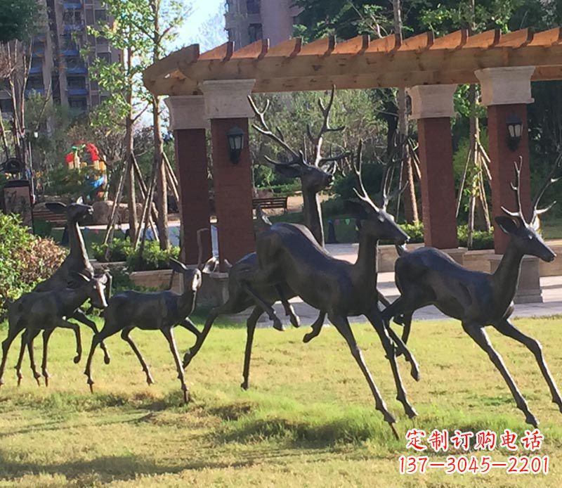 湖北“梅花鹿传递自由与美好”