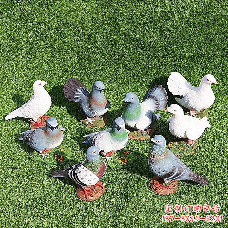 湖北和平鸽毕加索激发的美好灵感