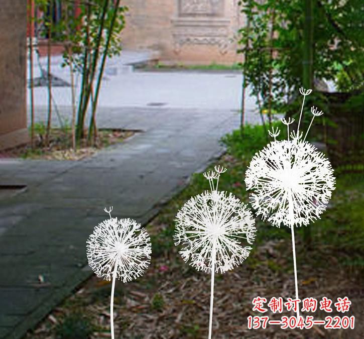湖北不锈钢蒲公英点亮城市之美