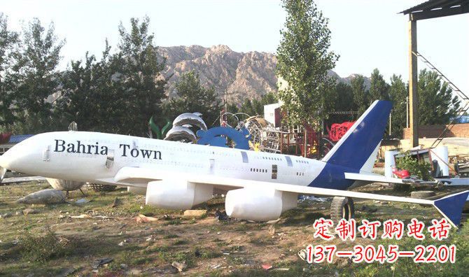 湖北静静躺在大地上的不锈钢飞机雕塑