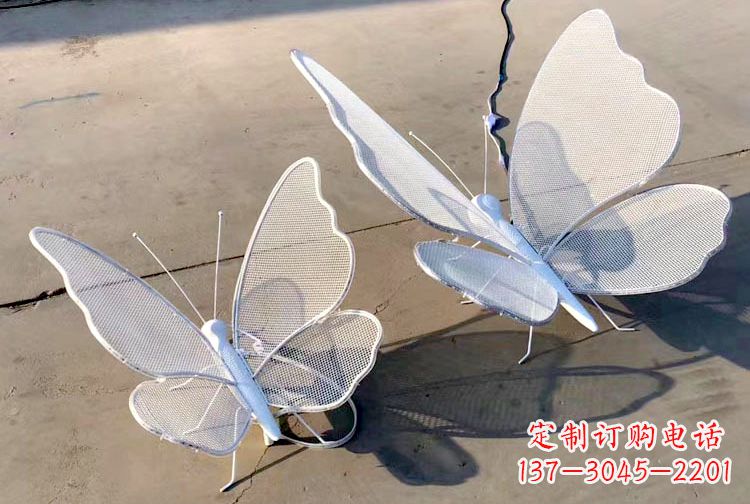 湖北不锈钢钢丝网格蝴蝶雕塑——灯光下的灵动之美