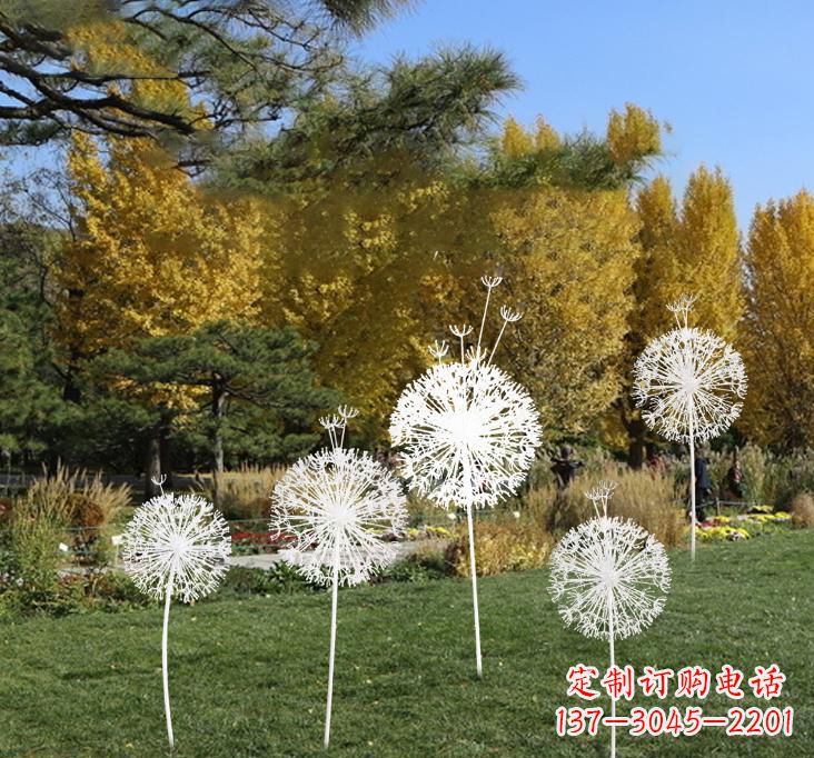 湖北不锈钢蒲公英景观雕塑艺术与美的完美结合