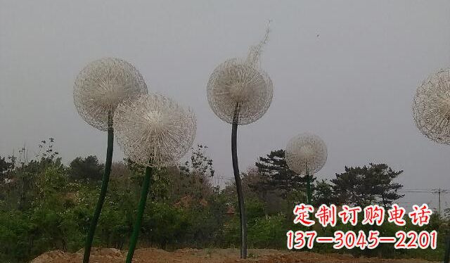 湖北蒲公英的绚丽多彩