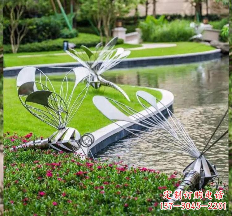 湖北不锈钢蜻蜓一件完美的动物雕塑