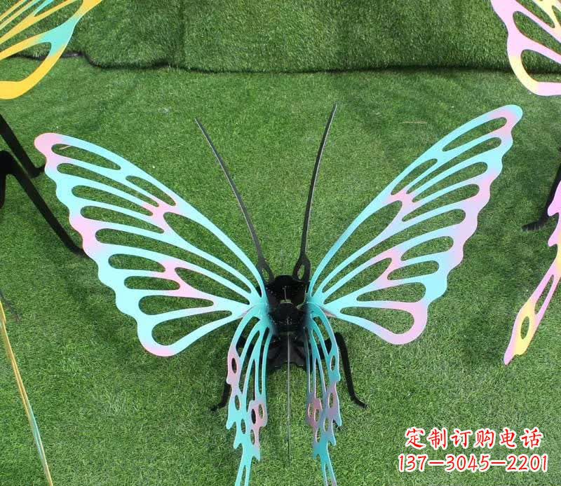 湖北彩色不锈钢镂空蝴蝶雕塑精美又充满生机