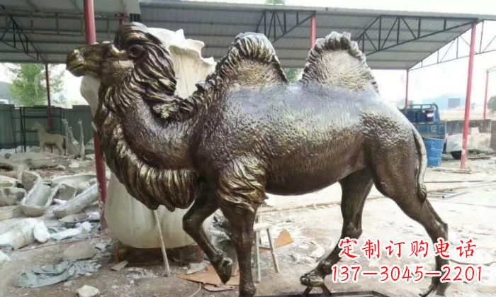 湖北动物骆驼铜雕