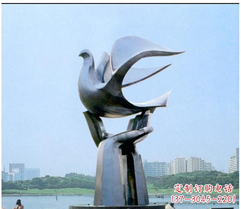 湖北静谧之鸽,传递和平象征~