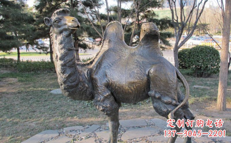 湖北公园骆驼动物铜雕 (4)