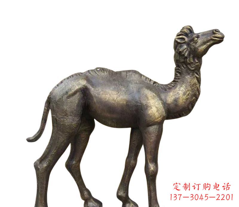 湖北奇美洁净的骆驼铜雕