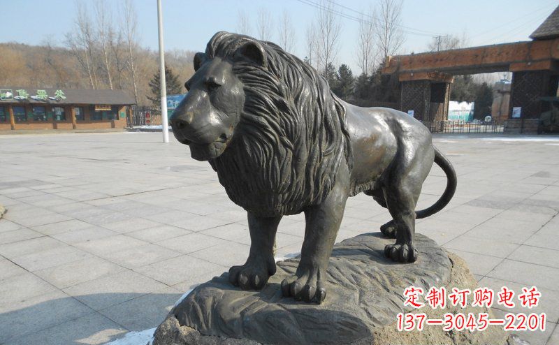 湖北广场非洲狮动物铜雕