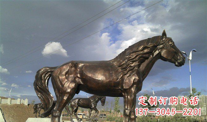 湖北广场马动物铜雕 (2)