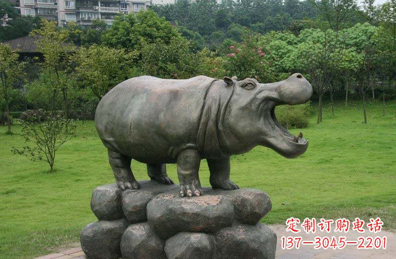 湖北海洋动物河马铜雕塑