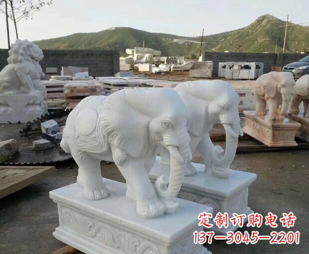 湖北汉白玉吉祥如意大象门口石雕 (2)