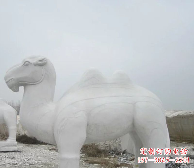 湖北汉白玉骆驼石雕塑,装点家居空间