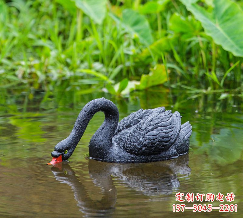 湖北黑天鹅喝水款-池塘水塘装饰动物雕塑摆件