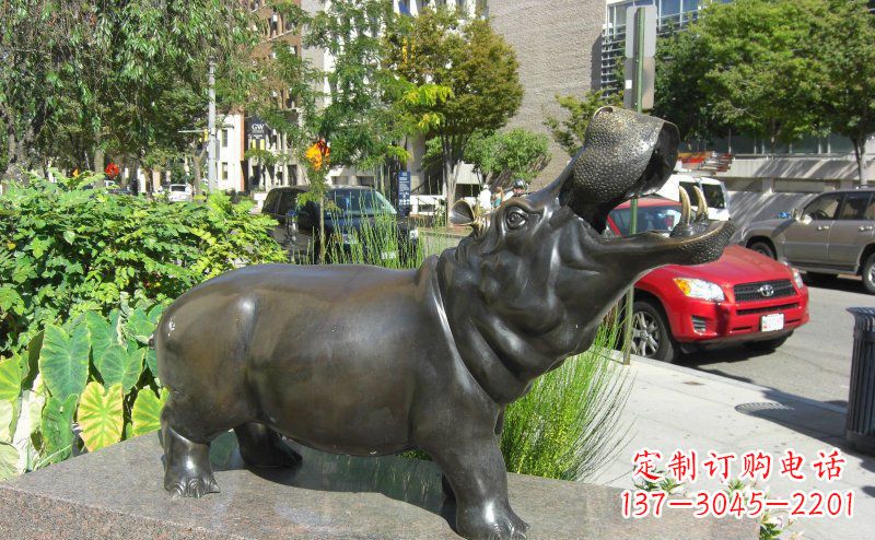 湖北街边河马景观铜雕