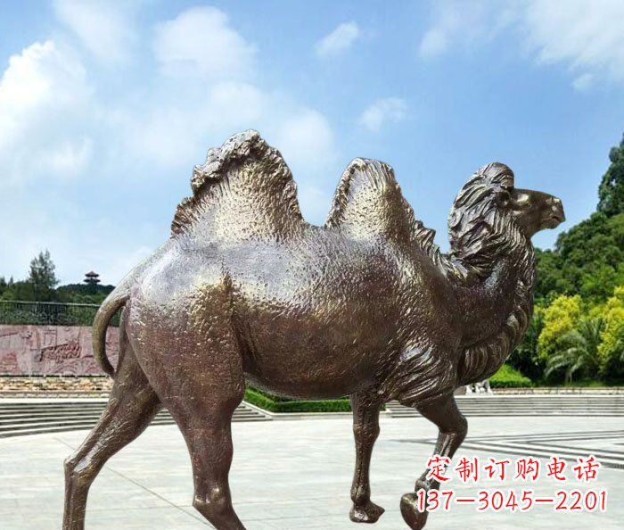 湖北欣赏骆驼美感,购买骆驼铜雕