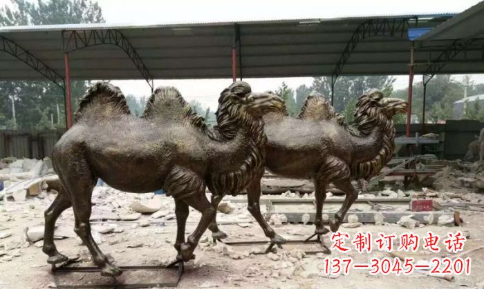 湖北典雅优美的骆驼铜雕