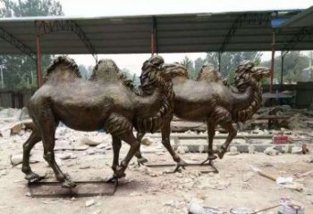 湖北欣赏大自然的艺术之作——骆驼铜雕