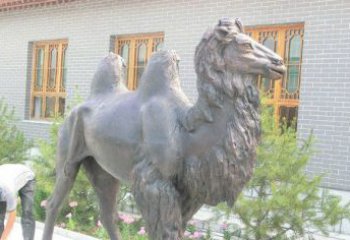 湖北精美的骆驼铜雕，提升您的公园气质