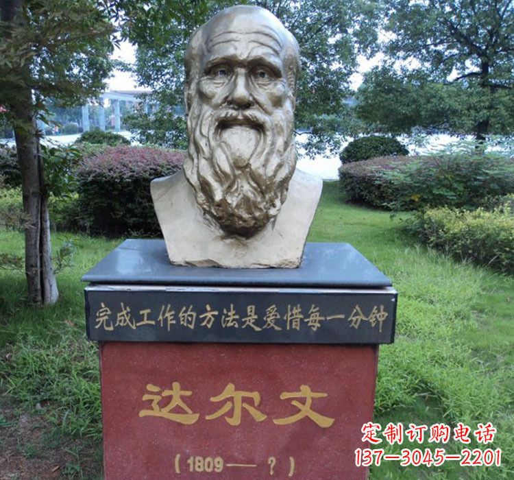 湖北铜雕达尔文头像雕塑