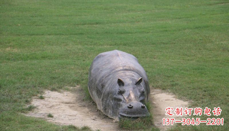 湖北铜雕趴着的河马
