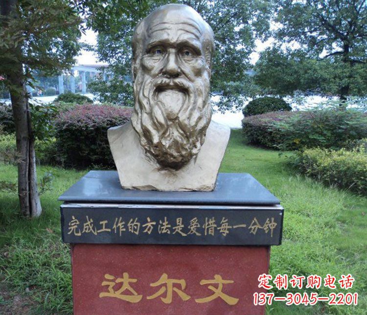 湖北铜雕校园达尔文肖像雕塑