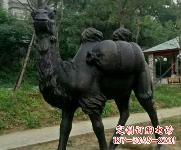 湖北驮行李的骆驼铜雕