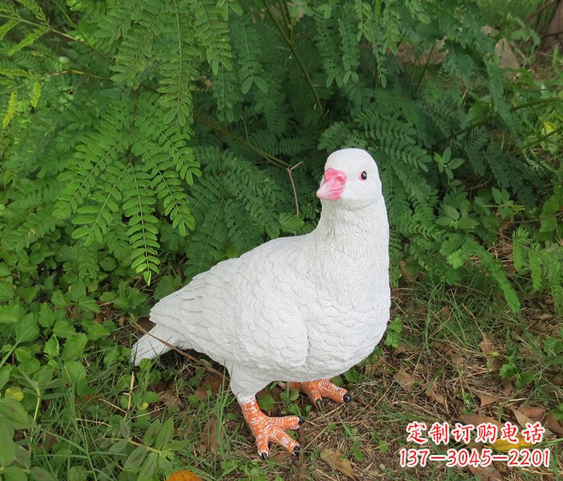 湖北潍坊青年路和平鸽灰姑娘雕塑