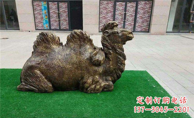 湖北卧着的骆驼动物铜雕