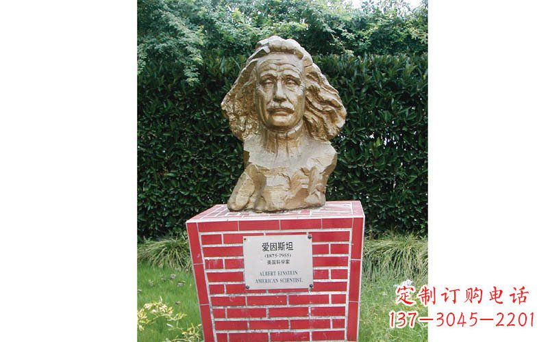 湖北西方名人爱因斯坦头像铜雕