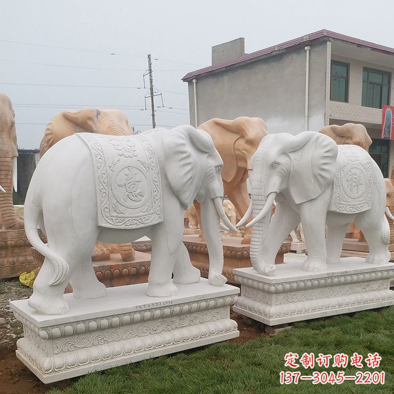 湖北学校石雕大象